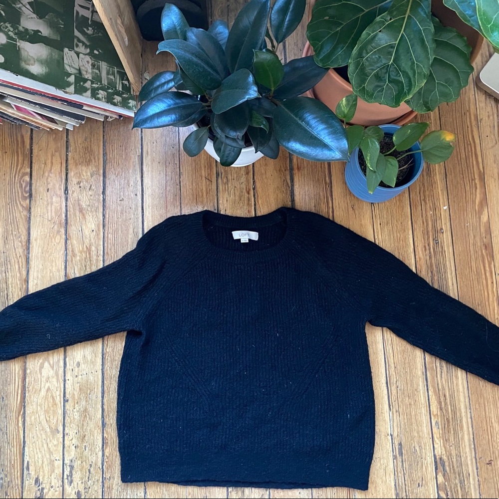 Ann Taylor LOFT Sweater